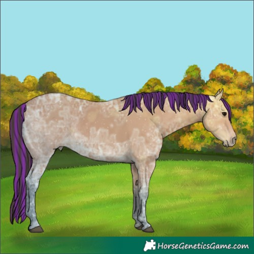 Horse Color:Painted Bay Ice Rabicano 