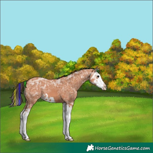 Horse Color:Painted Bay Ice Splash 
