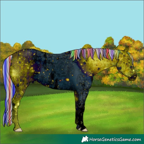 Horse Color:ERROR: UNKNOWN ANOMALY