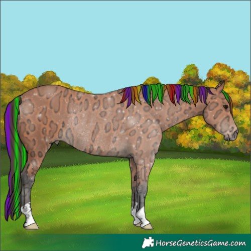 Horse Color:Painted Bay Ice Rabicano 