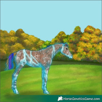 Horse Color:Painted Thunderstruck White Spotted Bay Ice 