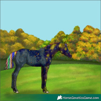 Horse Color:ERROR: UNKNOWN ANOMALY