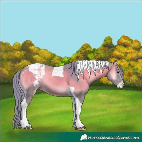 Horse Color:Watercolor Blue Onyx Tobiano Appaloosa 