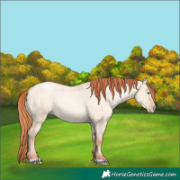 Horse Color:Sable Champagne Pearl Dun