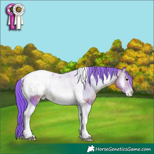 Horse Color:Watercolor Brown Onyx Tobiano Appaloosa 