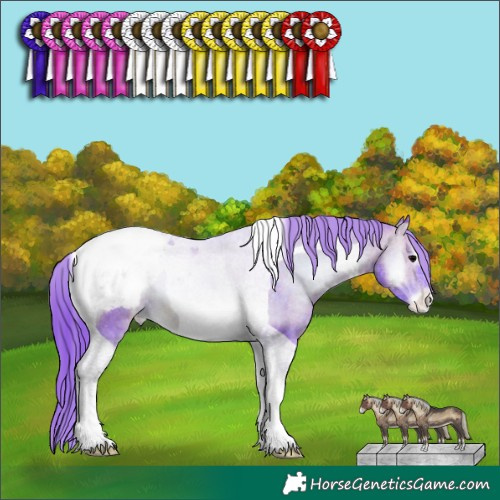 Horse Color:Watercolor Brown Onyx Tobiano Appaloosa 