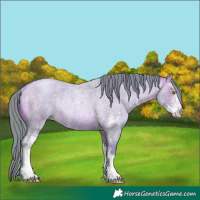 Horse Color:Watercolor Brown Roan Pearl Sabino Rabicano 