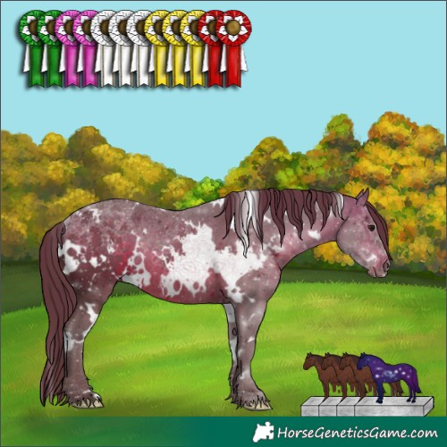 Horse Color:White Spotted Chocolate Brown Rabicano 