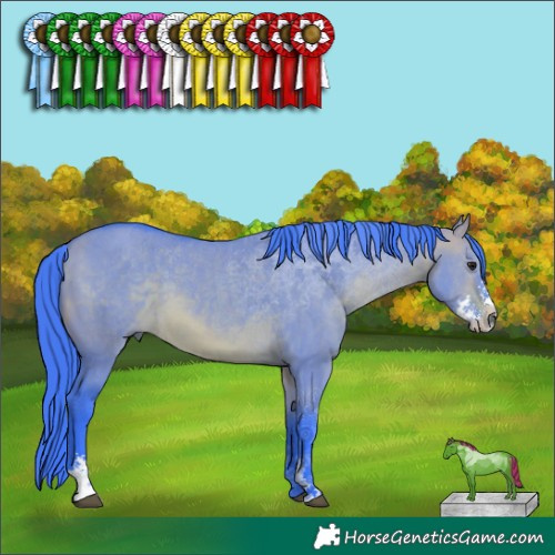 Horse Color:Watercolor Bay Dun Sabino 