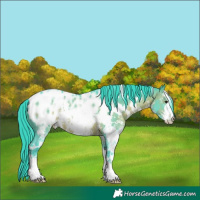 Horse Color:Watercolor White Spotted Brown Sabino Appaloosa 
