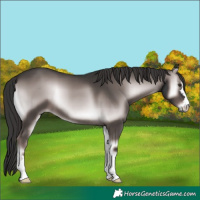 Horse Color:Platinum Liver Red Onyx 
