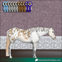 Horse Color:White Spotted Buckskin Dun Appaloosa 