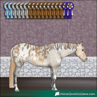 Horse Color:White Spotted Buckskin Dun Appaloosa 