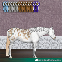 Horse Color:White Spotted Buckskin Dun Appaloosa 