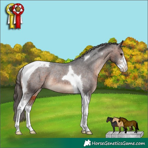 Horse Color:Brown Sabino Tobiano Varnish Rabicano 