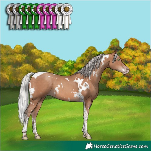 Horse Color:White Spotted Silver Sable Champagne Tobiano 