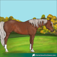 Horse Color:Silver Black 