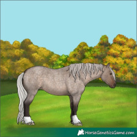 Horse Color:Silver Brown Roan Dun