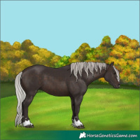 Horse Color:Silver Brown 