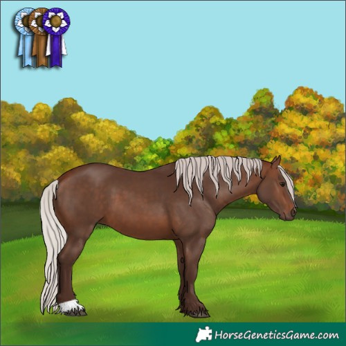Horse Color:Silver Brown