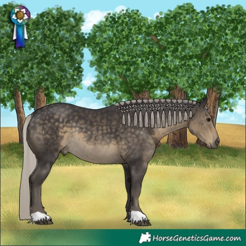 Horse Color:Silver Smoky Black Rabicano 
