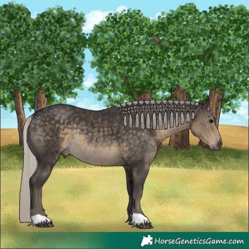 Horse Color:Silver Smoky Black Rabicano 