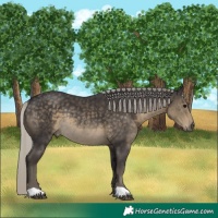 Horse Color:Silver Smoky Black Rabicano 