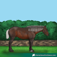 Horse Color:Silver Brown