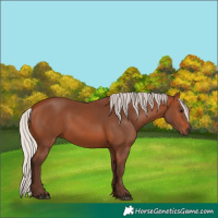 Horse Color:Silver Brown 
