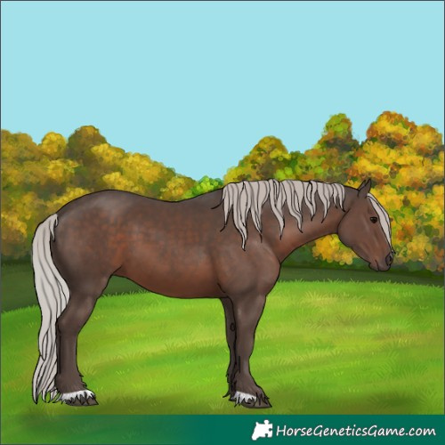 Horse Color:Silver Black 