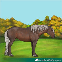 Horse Color:Silver Black 
