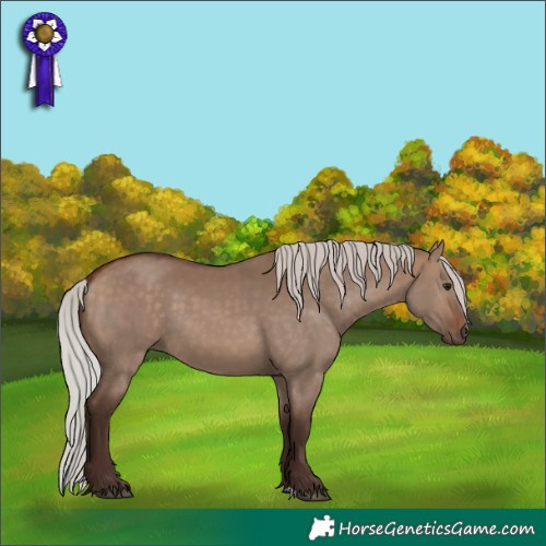 Horse Color:Silver Brown Dun 