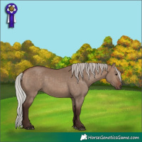 Horse Color:Silver Brown Dun