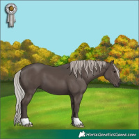 Horse Color:Silver Black