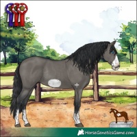 Horse Color:Grullo Sabino Frame Rabicano