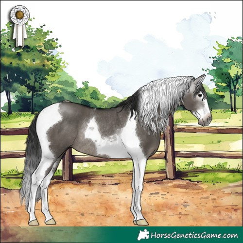 Horse Color:Gray Grullo Splash Tobiano Rabicano 