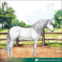 Horse Color:Gray Grullo Splash Tobiano Rabicano 