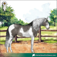 Horse Color:Gray Grullo Splash Tobiano Rabicano 