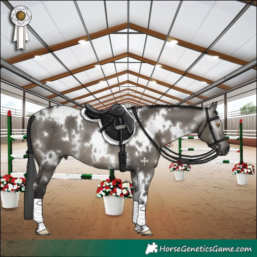 Horse Color:Gray White Spotted Grullo Rabicano 