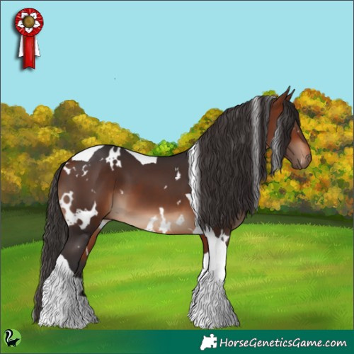 Horse Color:White Spotted Bay Tobiano 