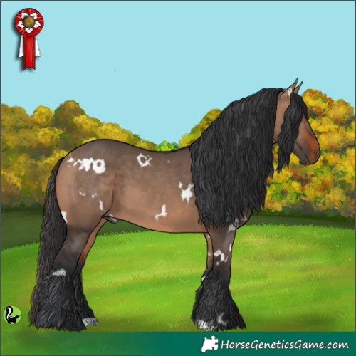 Horse Color:White Spotted Brown Dun 