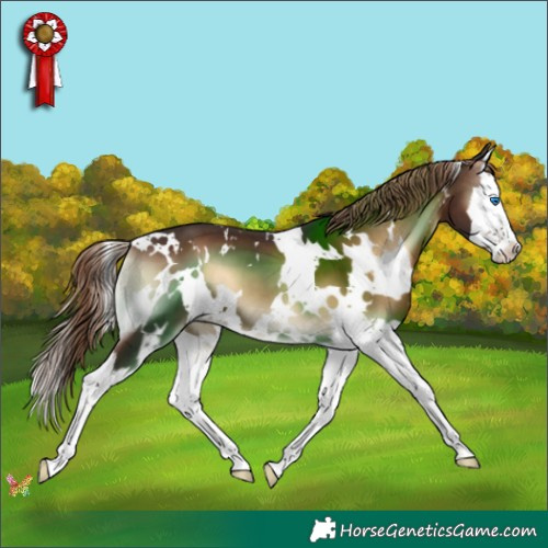 Horse Color:White Spotted Liver Red Onyx Splash 