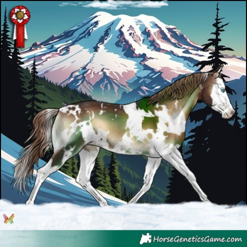 Horse Color:White Spotted Liver Red Onyx Splash 