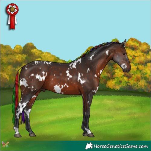 Horse Color:Painted White Spotted Brown 