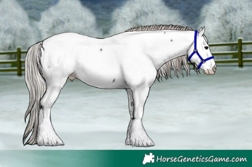 Horse Color:Silver Black Tobiano Near Fewspot 