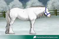 Horse Color:Silver Black Tobiano Near Fewspot
