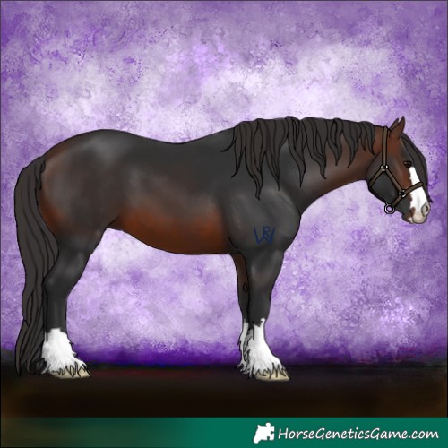 Horse Color:Brown 