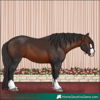 Horse Color:Brown 
