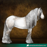 Horse Color:Gray White Spotted Buckskin Pearl Appaloosa