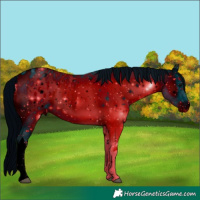 Horse Color:ERROR: UNKNOWN ANOMALY